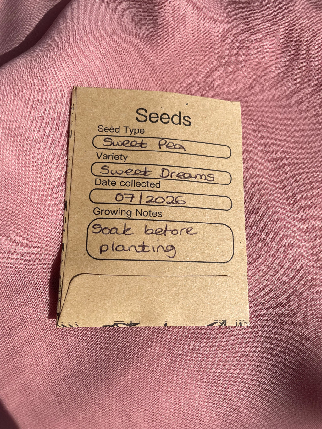 Let Love Grow Wedding Favour (including seeds) Sweet Pea