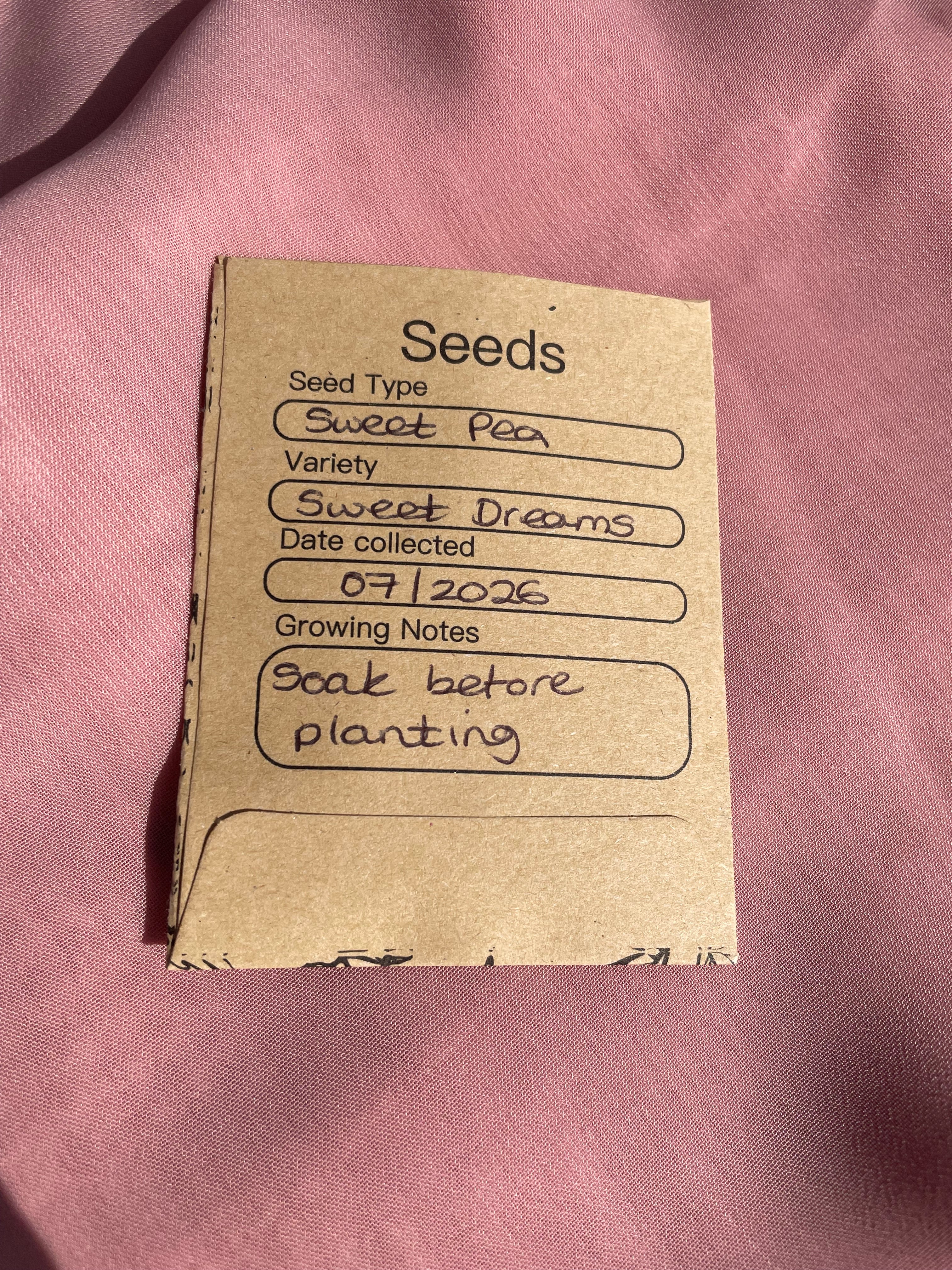 Let Love Grow Wedding Favour (including seeds) Sweet Pea
